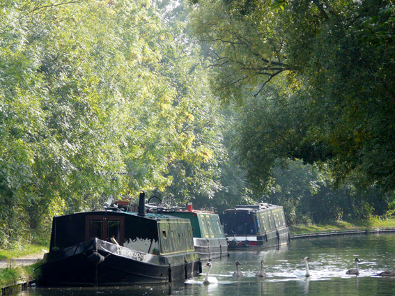 Narrow boats sur un canal anglais (Photo : RW)