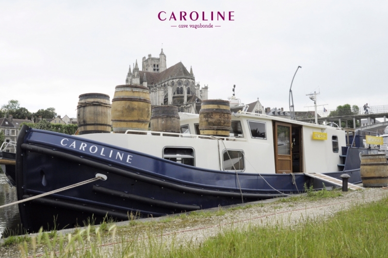 "Caroline", la cave vagabonde (Photo Ph Testut)