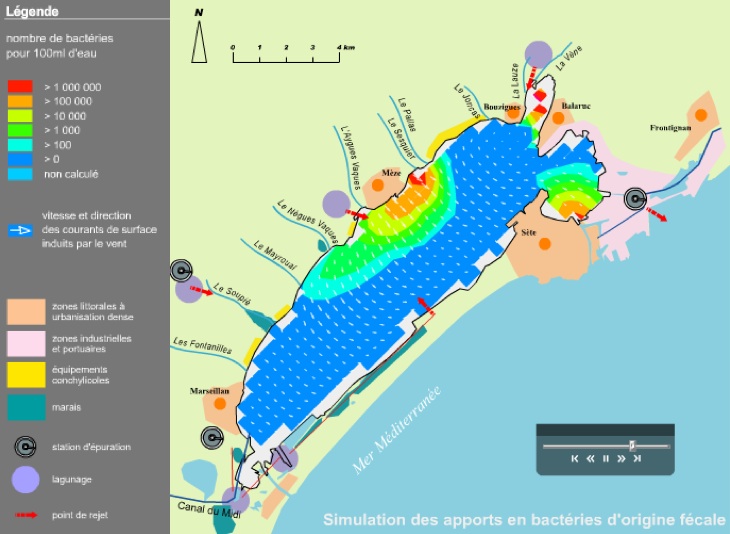 Évolution de la pollution fécale de l'étang de Thau en période de crue (simulation Ifremer)