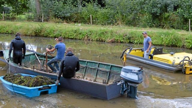 Dans le canal de Saint-Nicolas, l'équipe de nettoyage comprend la barque avec son bateau accompagnateur et la faucardeuse. (Photo Ouest France)