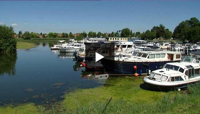 Côte-d'Or : des algues vertes envahissent le port fluvial de Saint-Jean-de-Losne (vidéo de Sébastien Kerroux, Etienne Yoann et Corentin Baemleur)