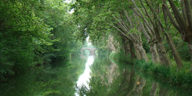 Canal du Midi (crédit photo Richard Bernadac)
