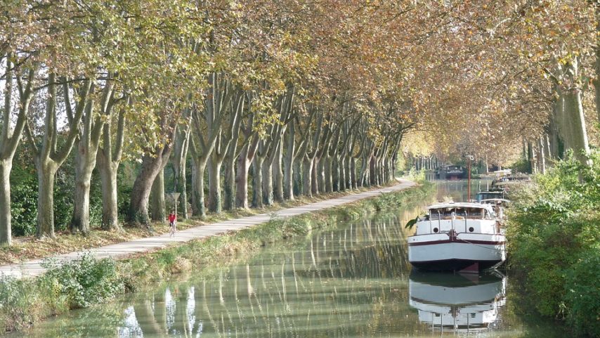 Des poissons ont été retrouvés morts dans le canal du Midi, la navigation est interdite jusque à nouvel ordre, entre Toulouse et Mongiscard. (Illustration / Pixabay)