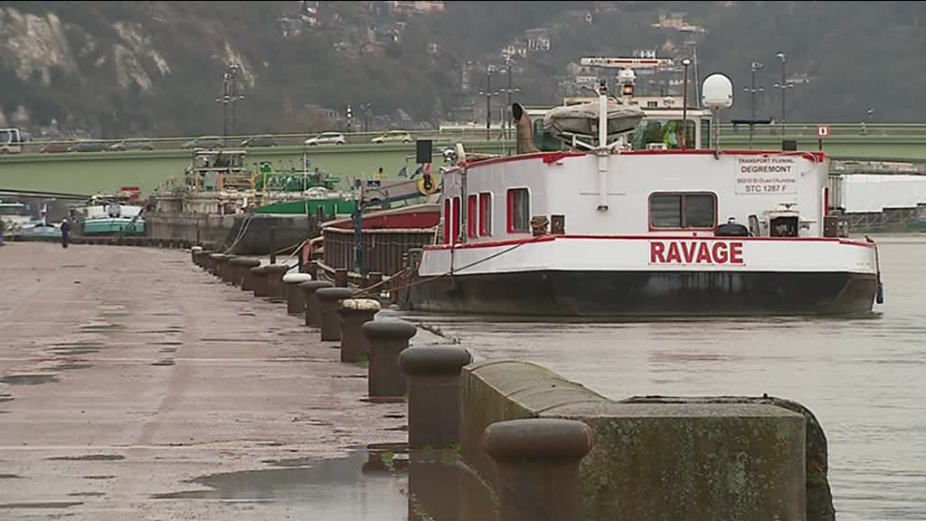 Des bateaux à l'arrêt ce mercredi après-midi à Rouen, après l'interdiction de naviguer en Seine décrétée par la préfecture de Seine-Maritime. (Photo France 3 Normandie)