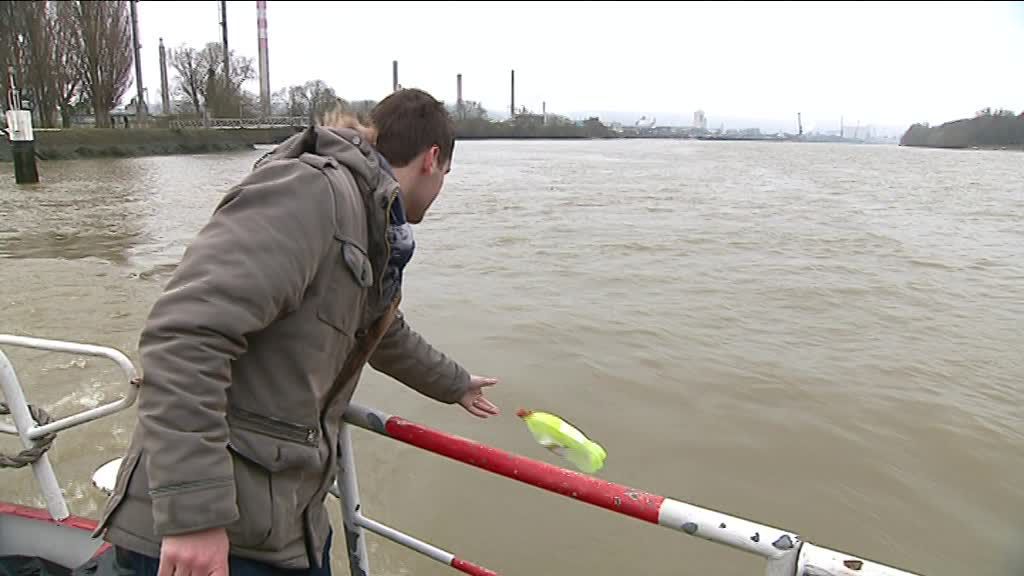 Plusieurs centaines d'objets en matière plastique ont été lancés dans le fleuve en aval de Rouen afin de suivre leur parcours (Photo France 3 Normandie)