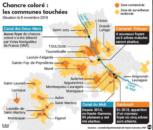 Cet état des leix complet de l'épidémie en Haute-Garonne intègre les données collectées par les services du département et des Voies navigables de France (infographie reproduction DDM)