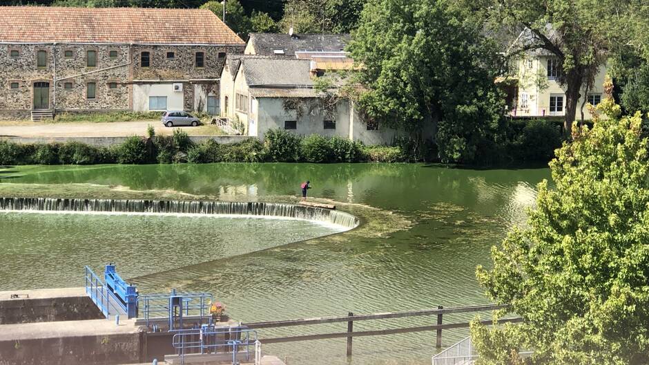 La préfecture informe les usagers de la rivière la Mayenne que la navigation est interdite « sur l’ensemble de la rivière dans le département », à cause de la présence de cyanobactéries. (Photo OUEST-FRANCE)