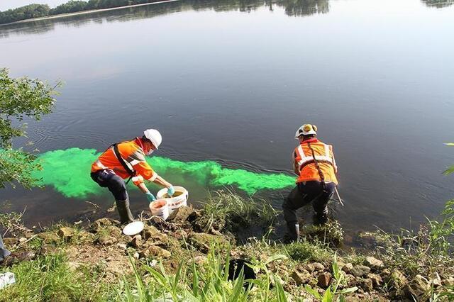 Ce jeudi 3 juin, le Réseau Loire Alerte a rejeté un liquide fluorescent dans la Loire en Montsoreau et Saumur (Maine-et-Loire) pour simuler une pollution dans le fleuve. (Photo Ouest-France)