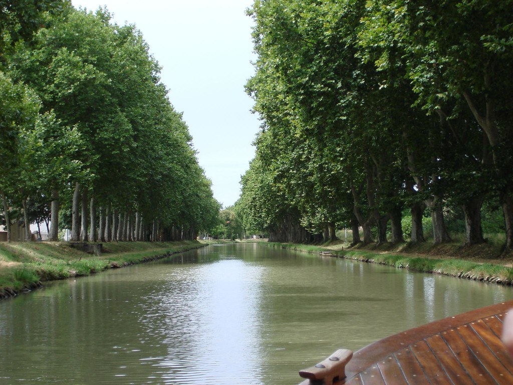 Berges du Canal du Voies navigables de France (VNF) lance un appel au don pour poursuivre le programme de replantation du canal du Midi (Photo CC BY SA / Luciano Guelfi)