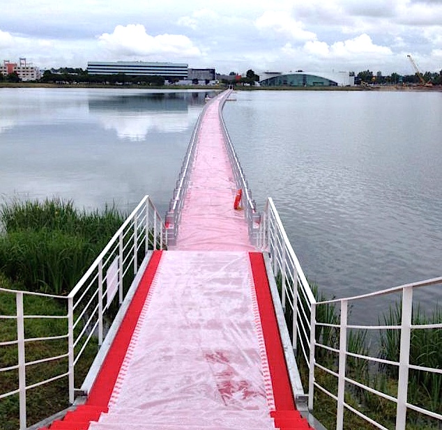 PLATEFORME VINEXPO/TECHNI-MARINE 2013 (Photo Ph.Canepa) 