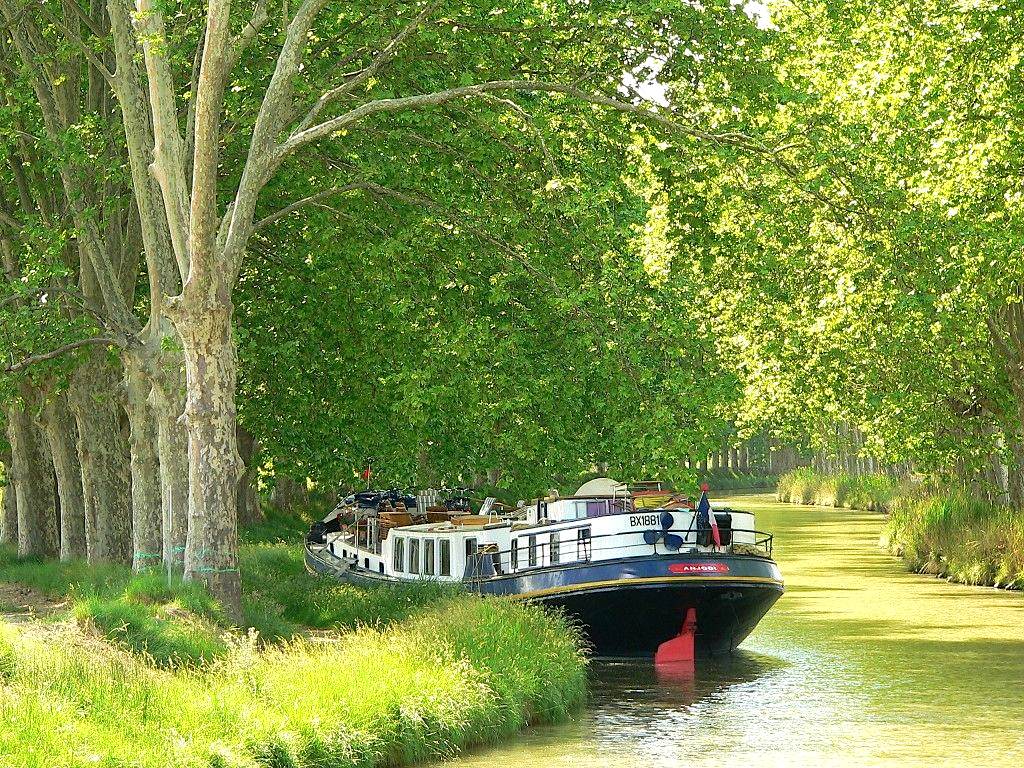 Le canal à Capestang - couverture du n°243 de Fluvial (Photo Stéphane Thépot)