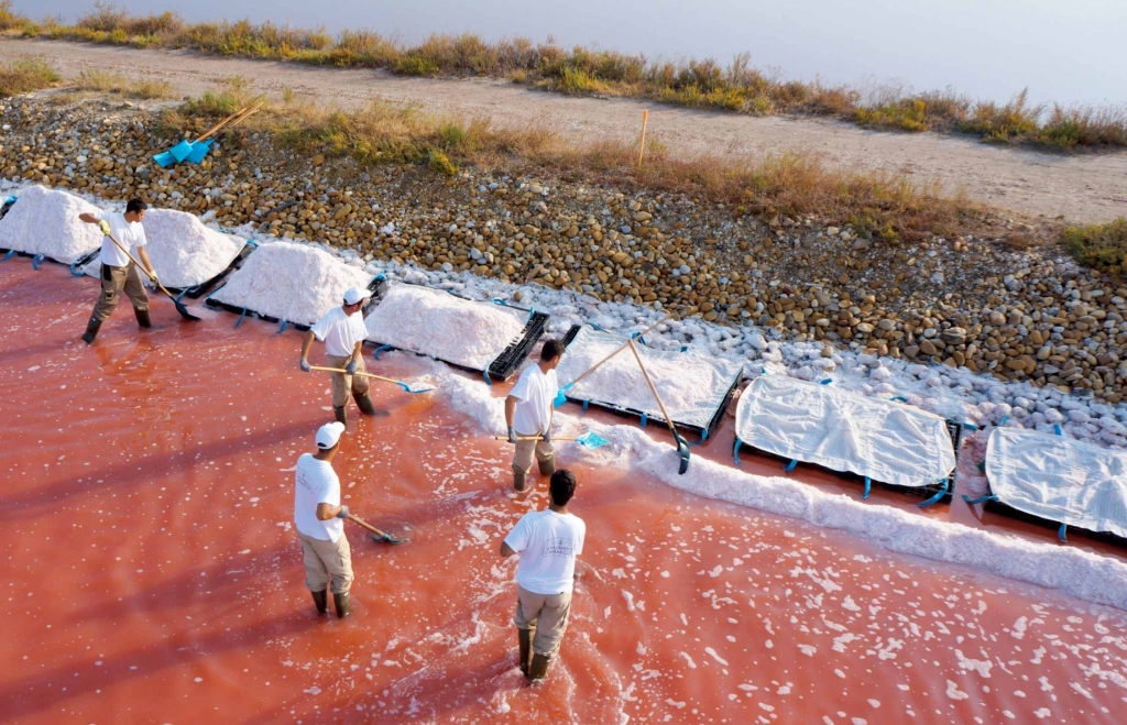 Les salins d'Aigues-Mortes (Photo "Groupe Salins")