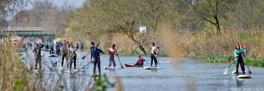 Stand up paddle sur le canal du Midi (Photo : Nadia Ghali / LSLR (Ligue Surf Languedoc Roussillon)