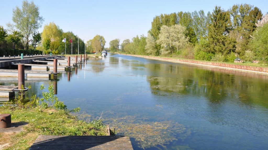 Pour éradiquer le myriophylle, visible au premier plan, le Département a engagé des travaux d’envergure. Conséquence : la navigation est interdite sur la Somme et le port à l’arrêt. (Photo D.R.)