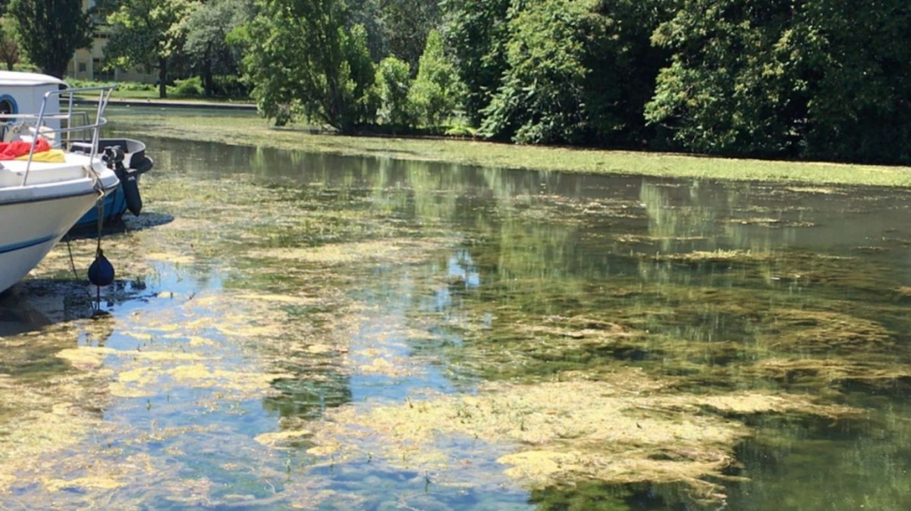 Dijon : le nettoyage du canal de Bourgogne a démarré (Photo D.R.)