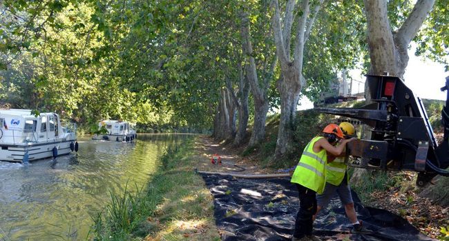 Le Département ne participe plus au traitement du canal jusqu'à nouvel ordre. (Photo DDM, archives.)