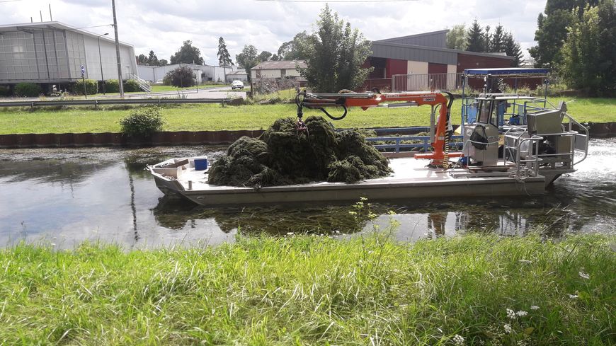 Le faucardeur-moissonneur nettoiera le canal des Ardennes jusqu'au 10 septembre (Photo VNF)