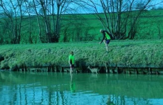 Un chevreuil secouru par deux cyclistes dans le canal du Nivernais près de Cercy-la-Tour, samedi 20 février. (Photo Vanille Delpieu)