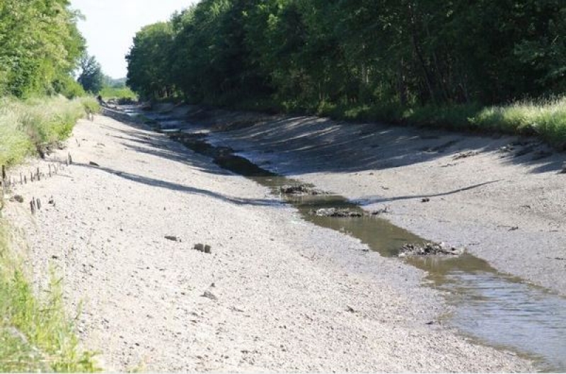 Le Roanne à Digoin, à sec (Photo : S. ANDREW)