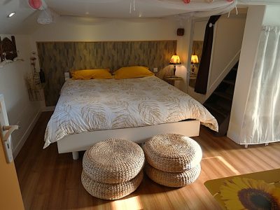 Péniche habitable 166 m2 Aigues Mortes 400000€