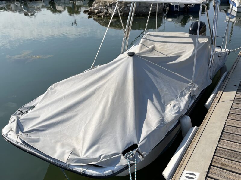 Open Carolina SKIFF DLX1965 motorisation MERCURY 80 CV 4tps