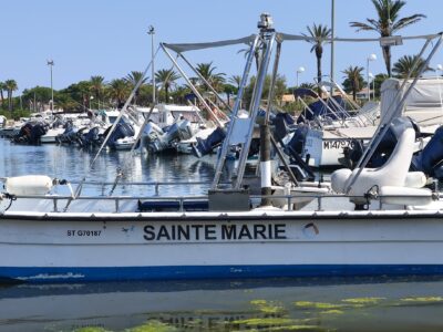 Open Carolina SKIFF DLX1965 motorisation MERCURY  80 CV 4tps