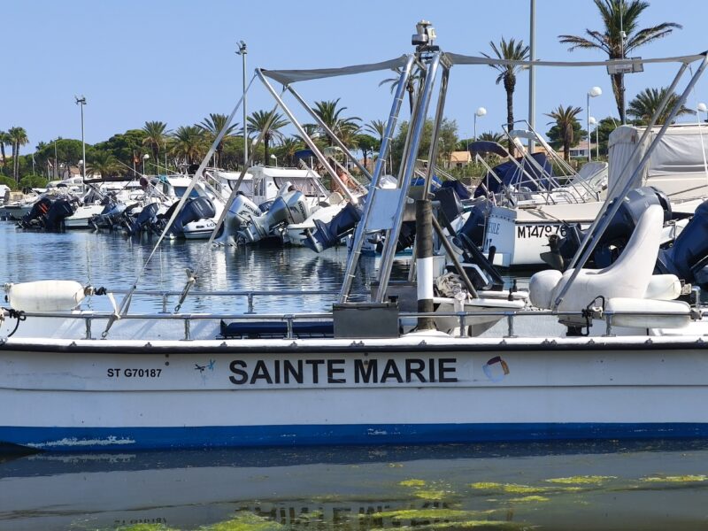 Open Carolina SKIFF DLX1965 motorisation MERCURY 80 CV 4tps