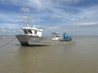 Chaland Mytilicole Delavergne