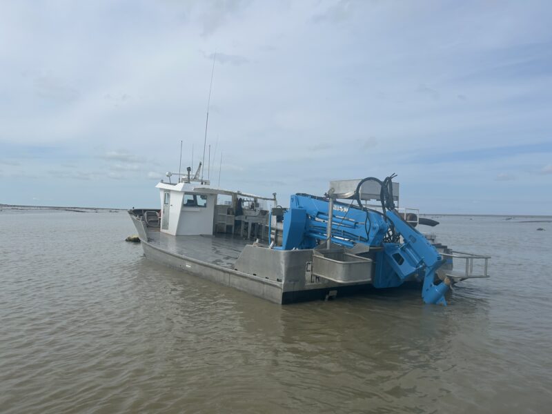 Chaland Mytilicole Delavergne