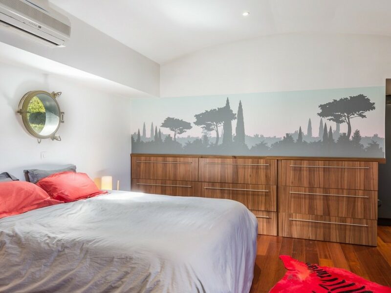 Magnifique péniche habitable F5 - 200m² - Saint Germain au mont d'or