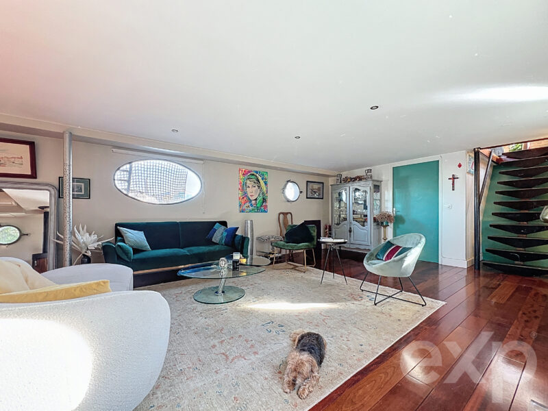 Magnifique péniche habitable F5 - 200m² - Saint Germain au mont d'or