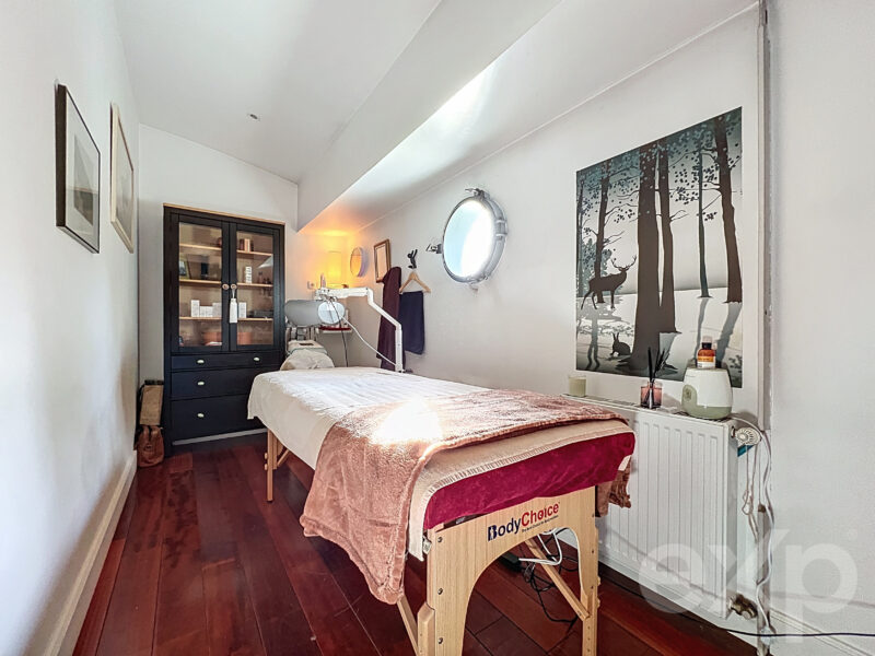 Magnifique péniche habitable F5 - 200m² - Saint Germain au mont d'or