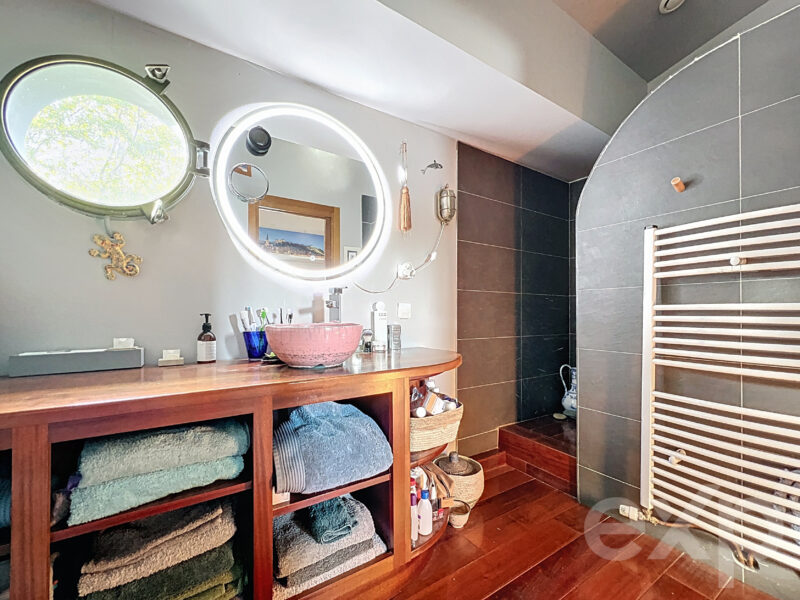 Magnifique péniche habitable F5 - 200m² - Saint Germain au mont d'or