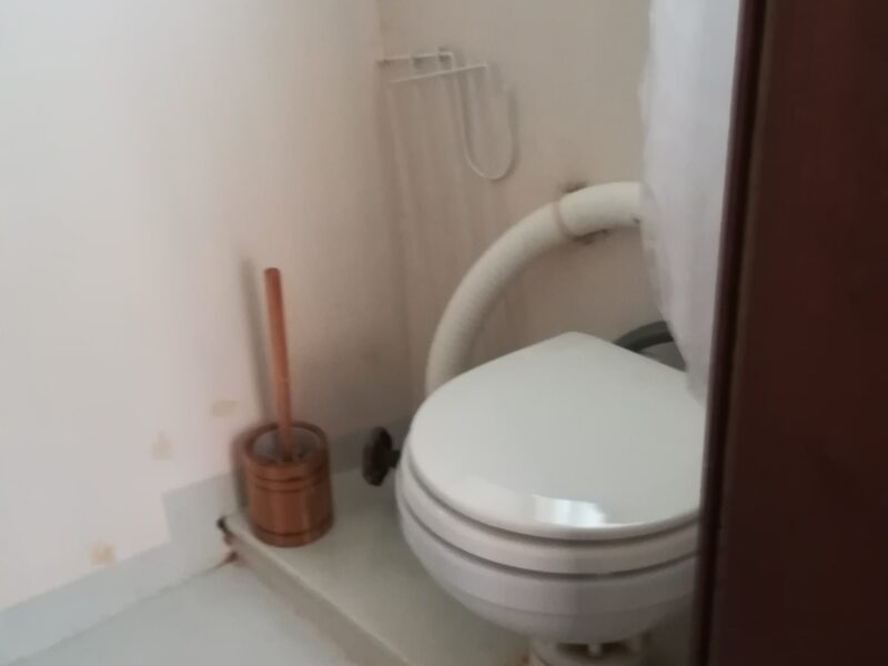 Péniche Hollandaise PEDRO 950