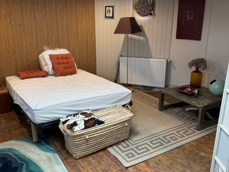 Magnifique péniche habitable F5 - 200m² - Saint Germain au mont d'or