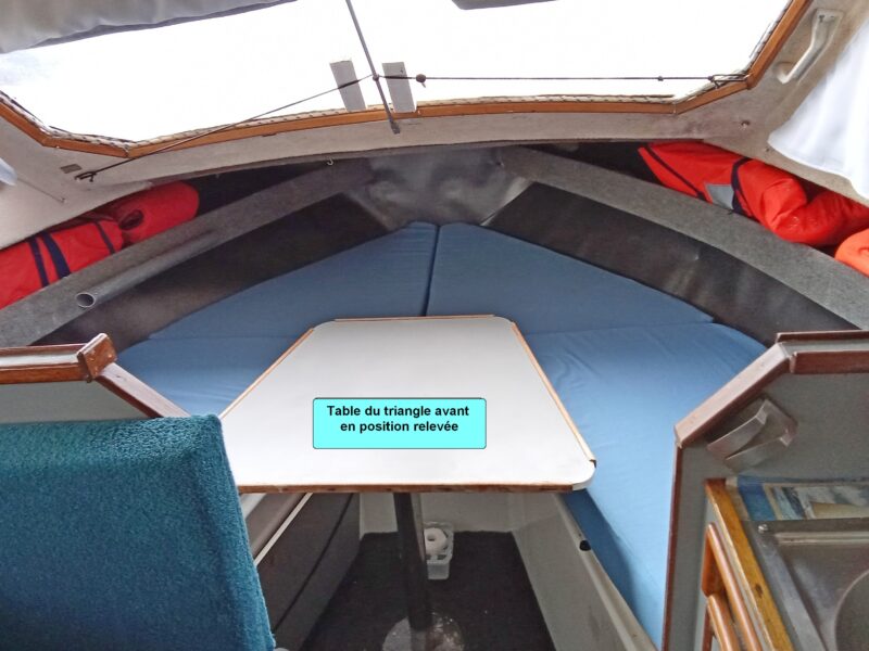 Jolie vedette fluviale et transportable