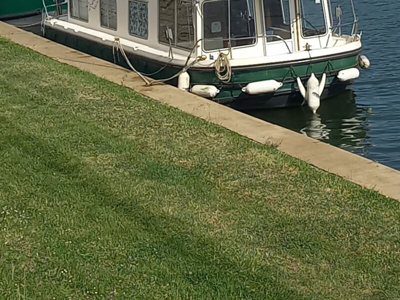 Pénichette Eau Claire 1130 Jeanneau