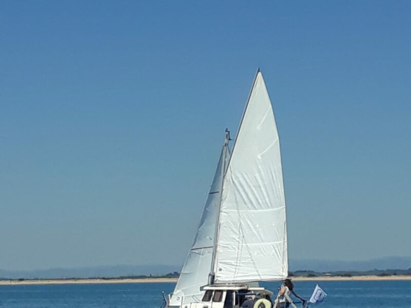 À vendre, Haber 660